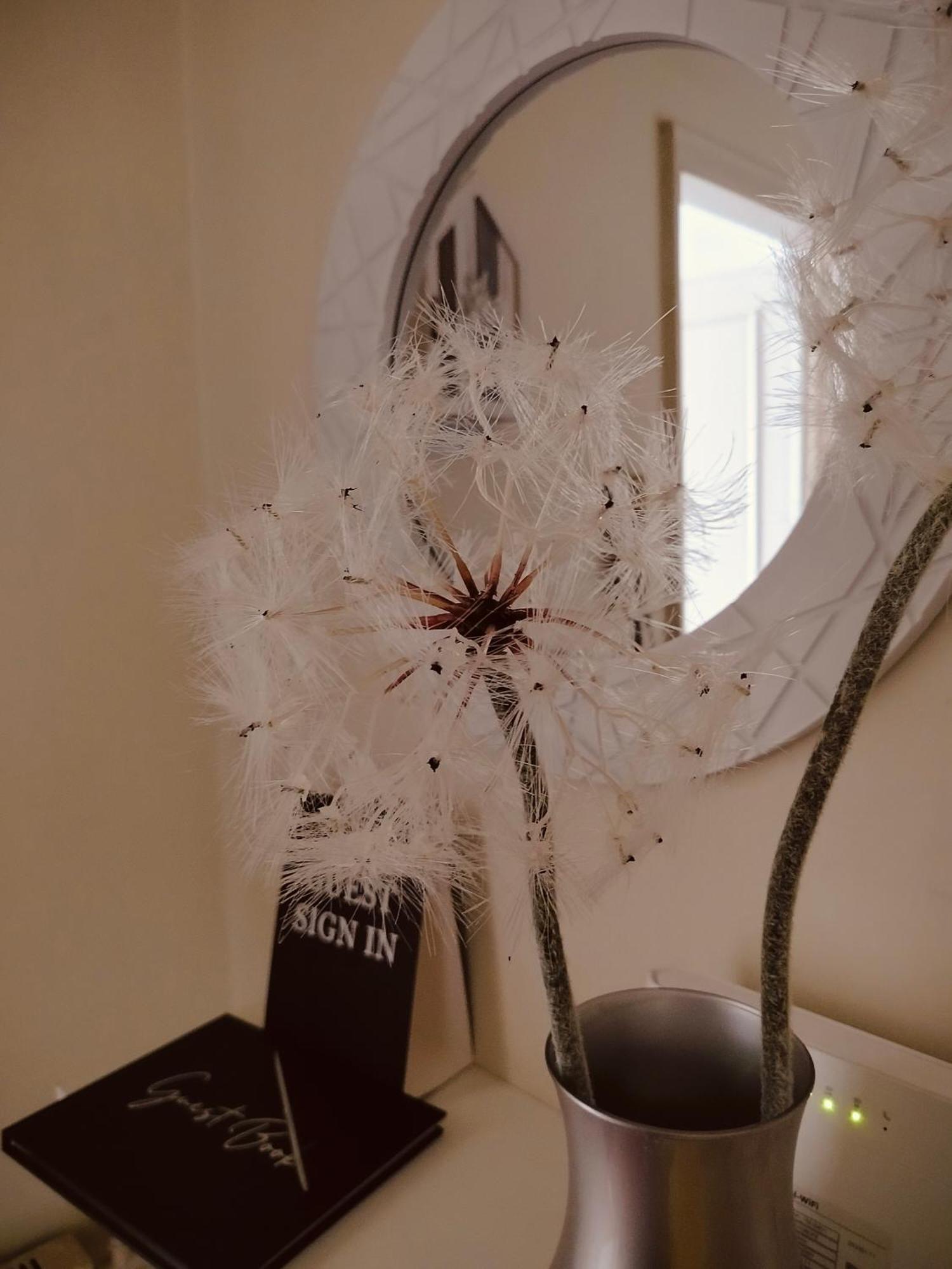 Dandelion Stazione Fs Appartement