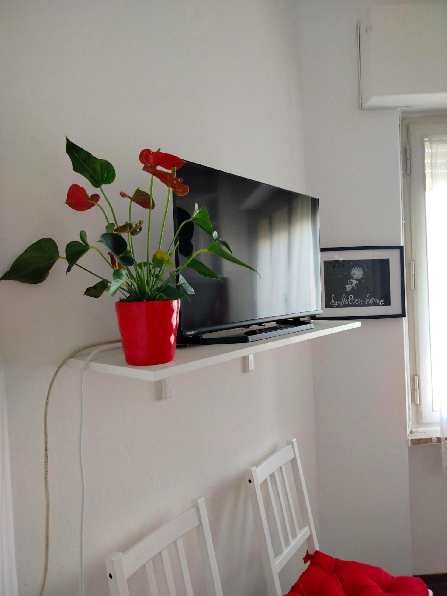 Appartement Dandelion Stazione Fs *